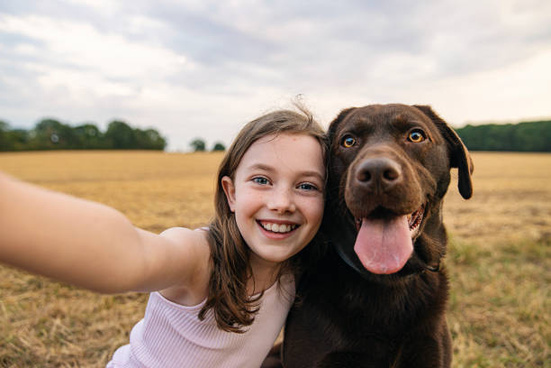 Dog enjoying time outdoors with a pet owner