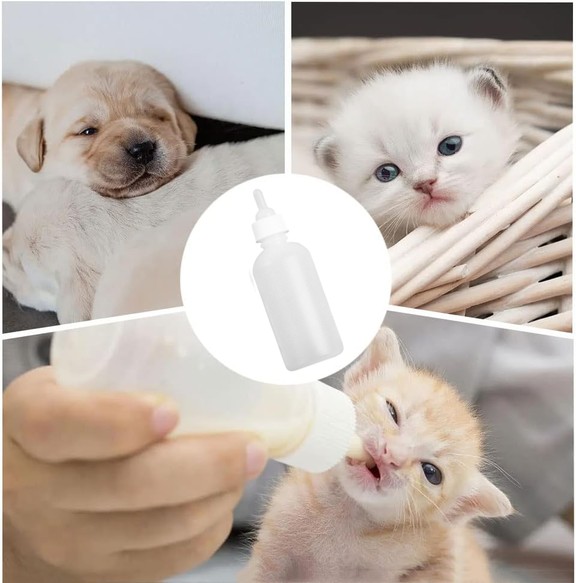 Young pets being cared for