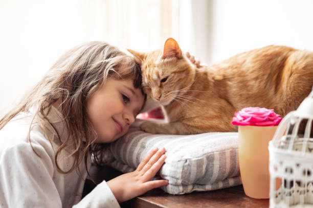 Cat and owner at home