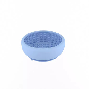 Slow feeder bowl